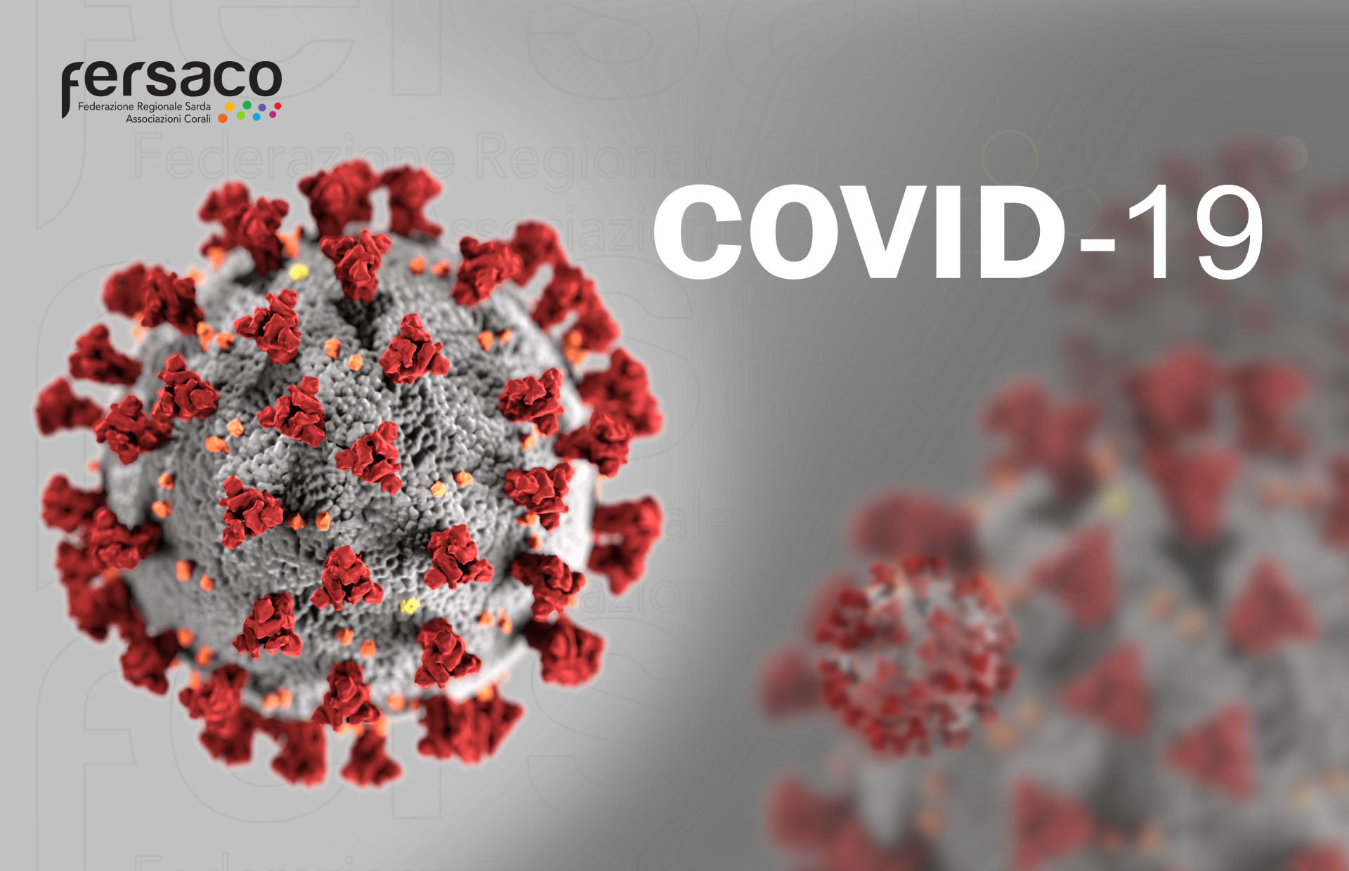 Covid-19.jpg